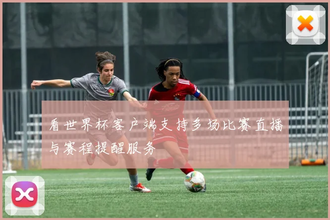 看世界杯客户端支持多场比赛直播与赛程提醒服务