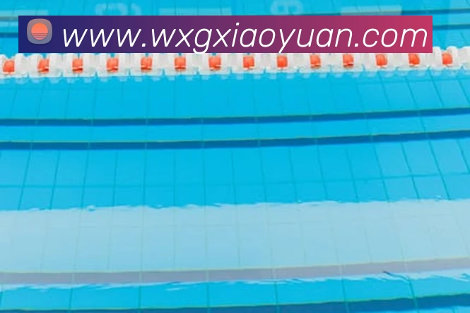 必一·运动(B - sports)官方网站平台生态图